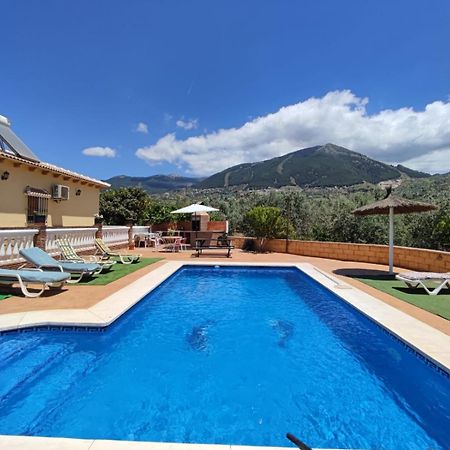 Los Olivos Malaga Ngoại thất bức ảnh